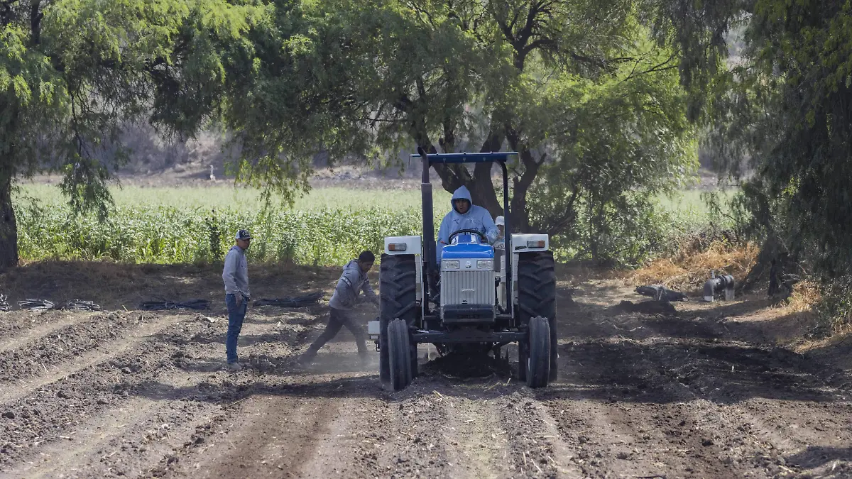 140324_tractores_arando el campo_CO_7